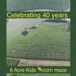 2022 Corn Mazes