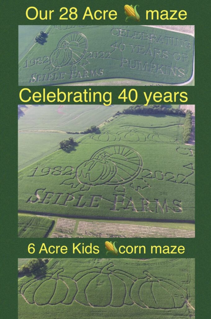 2022 Corn Mazes
