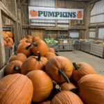 Our Pumpkin Barn