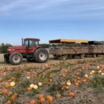 Our Hayride to the Pumpkin Patch