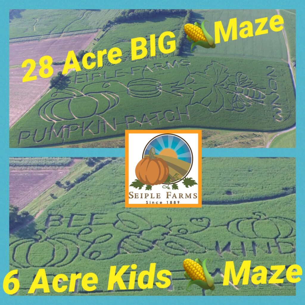 2023 Corn Mazes