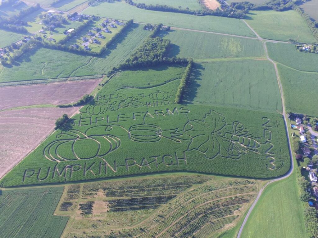 Aerial View -2023 Corn Mazes