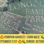 Corn Maze 2024.jpg 2