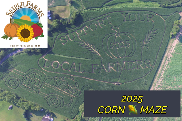 2025 corn maze pic bigger