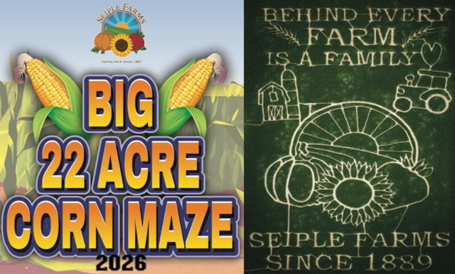 2026 corn maze design